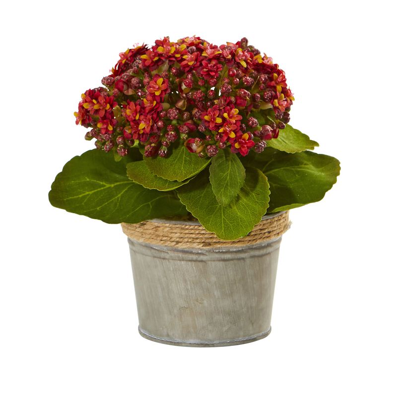Hivvago Kalanchoe Artificial Arrangements (Set of 3)