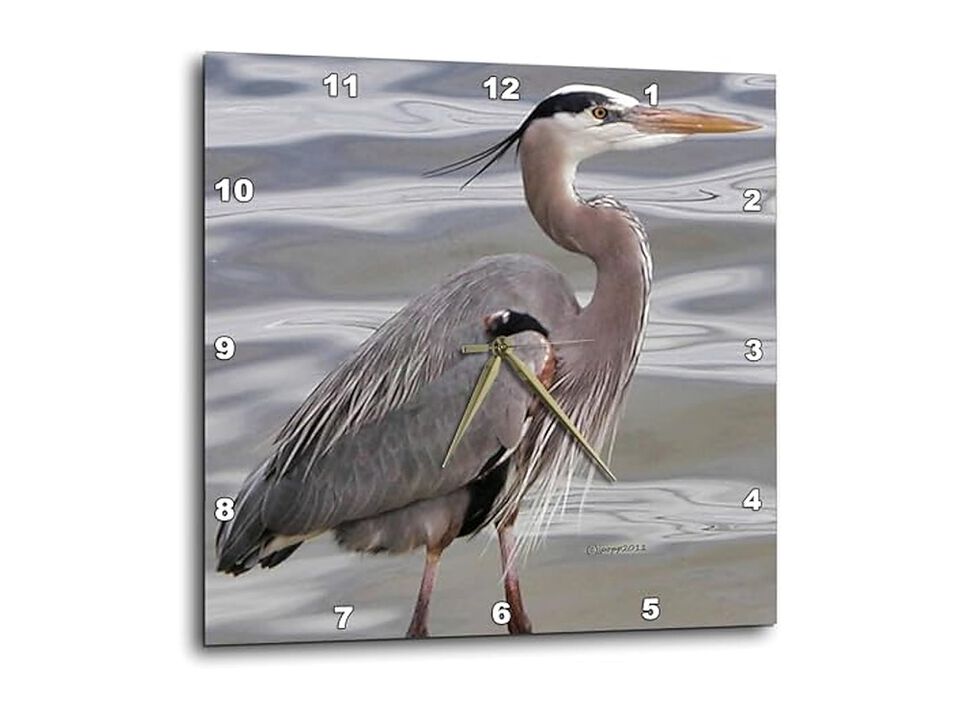 Great Blue Heron Wall Clock 10 Inch Home Decor