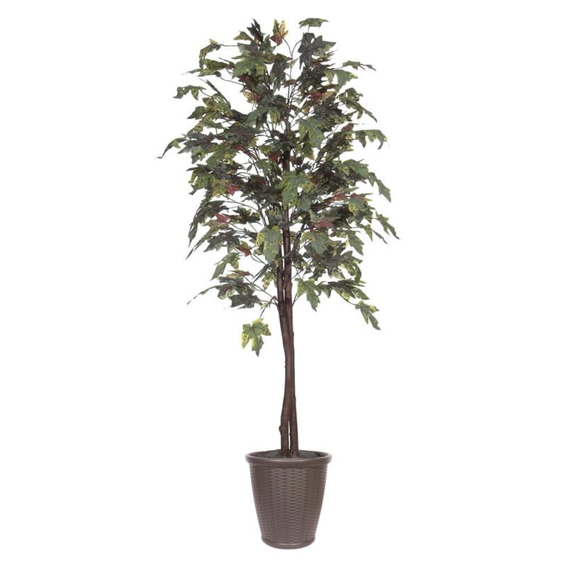 Vickerman 6' Frosted Maple tree - TEC1760-07 image number 0
