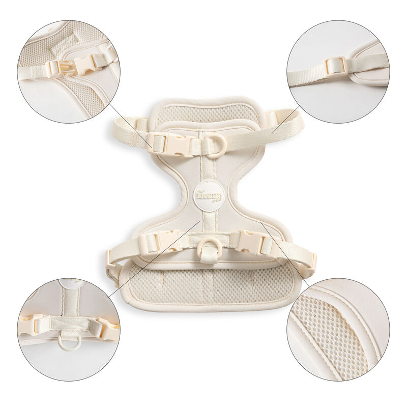 Arlo Adjustable Soft Padded No Pull Pet Harness with 3 Buckles and 3 Leash Clips