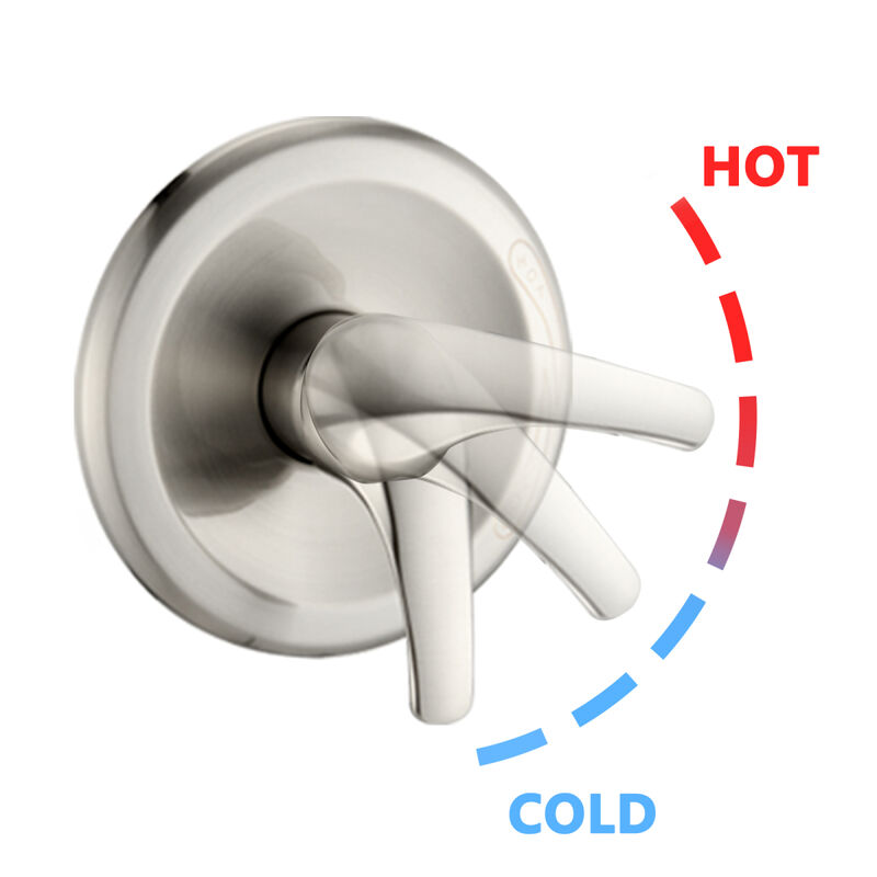 8" Rain Shower Head with Handheld System and Tub Spout