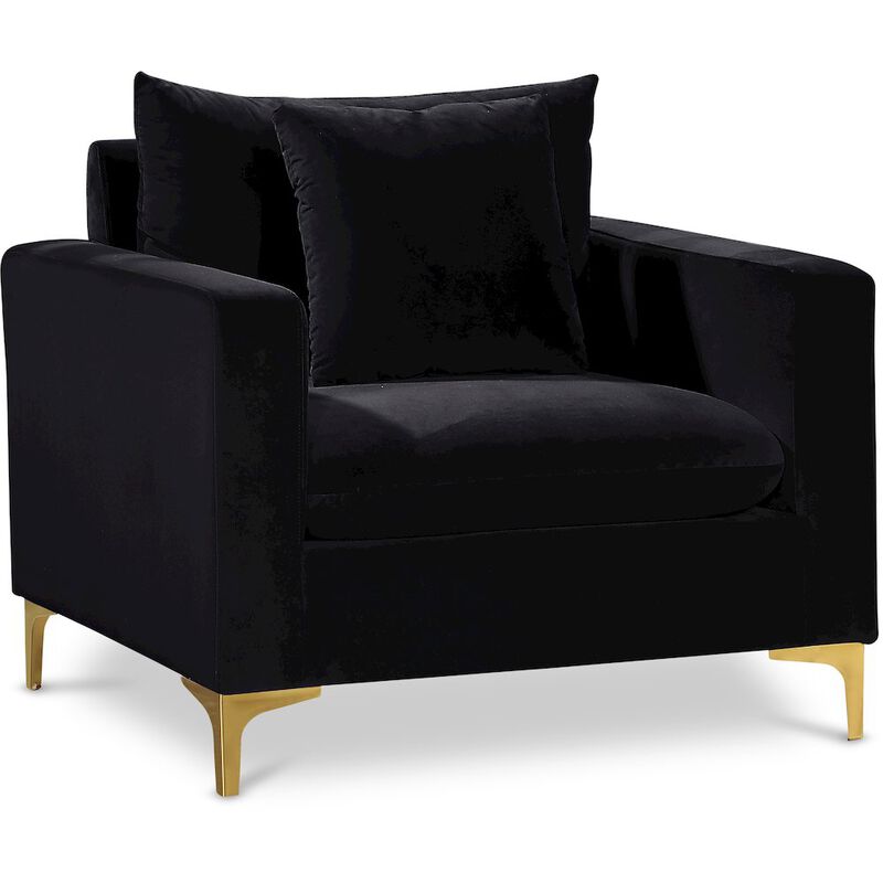 Meridian Furniture Naomi Black Velvet Chair