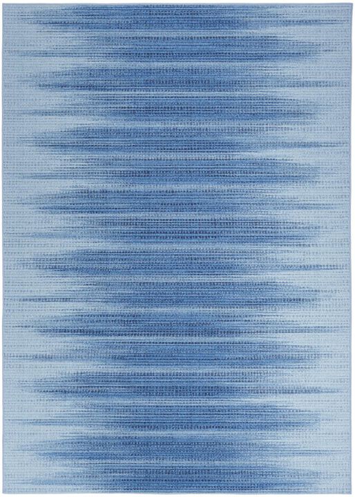 HomeRoots Ombre Distressed Non Skid Area Rug