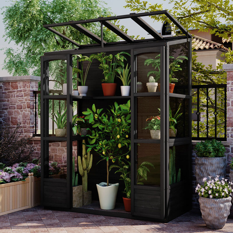Streamdale 78'' Wooden Cold Frame with Skylights, Shelves & Outdoor Walk-inhouse image number 1