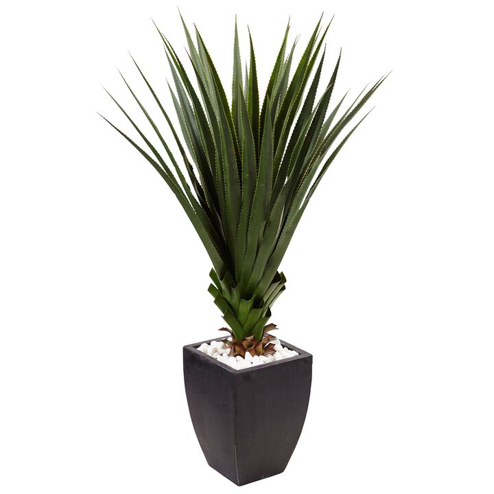 HomPlanti 4.5" Spiked Agave in Black Planter (Indoor/Outdoor)
