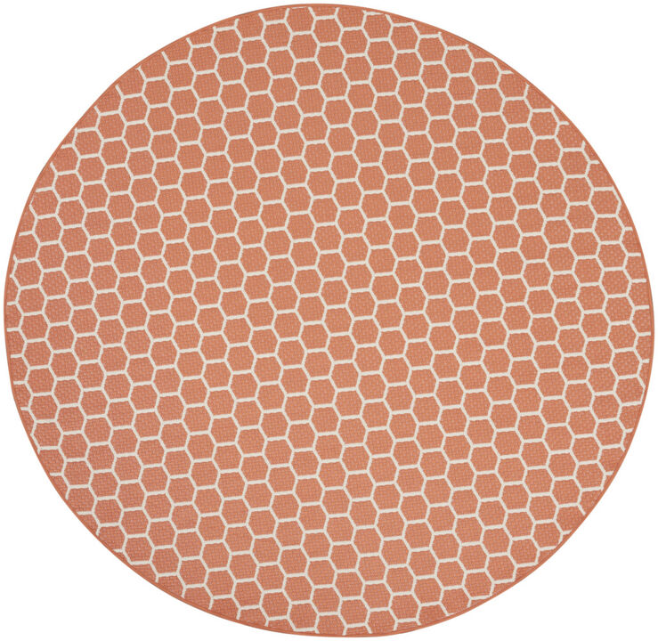 HomeRoots Geometric Indoor Outdoor Area Rug
