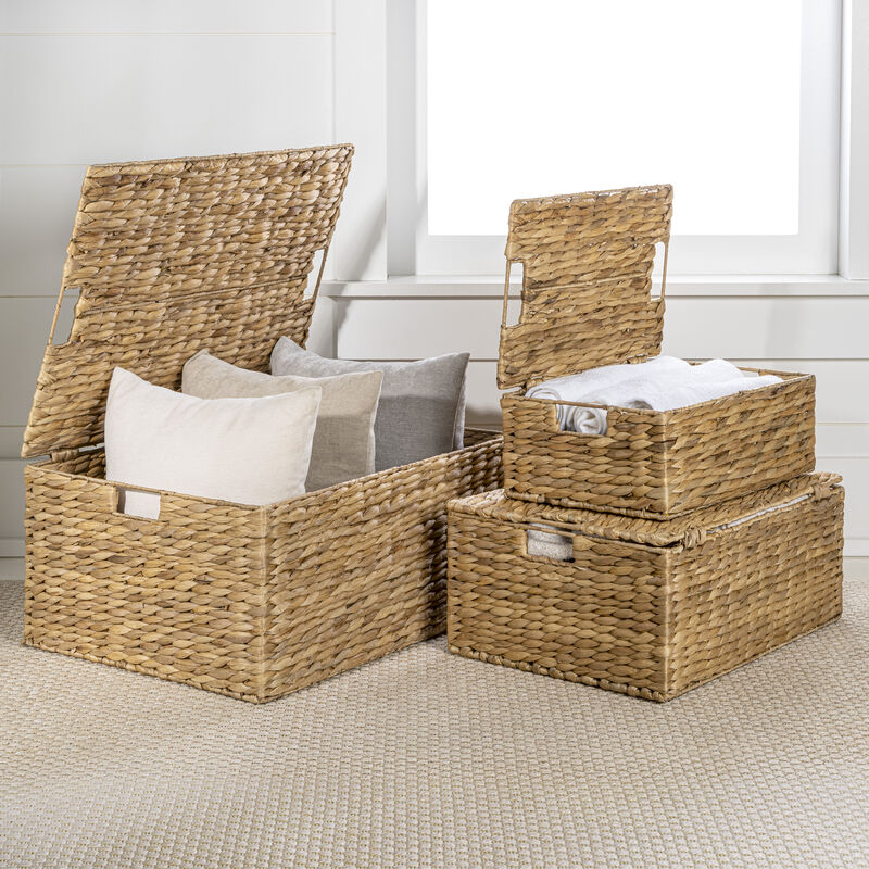 Brooks Classic Farmhouse Woven Hyacinth Rectangular Storage Baskets with Lids and Handles