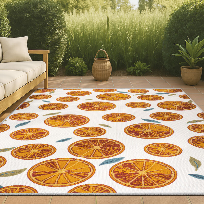 Aranciata Citrus Slice High-Low Indoor/Outdoor Area Rug