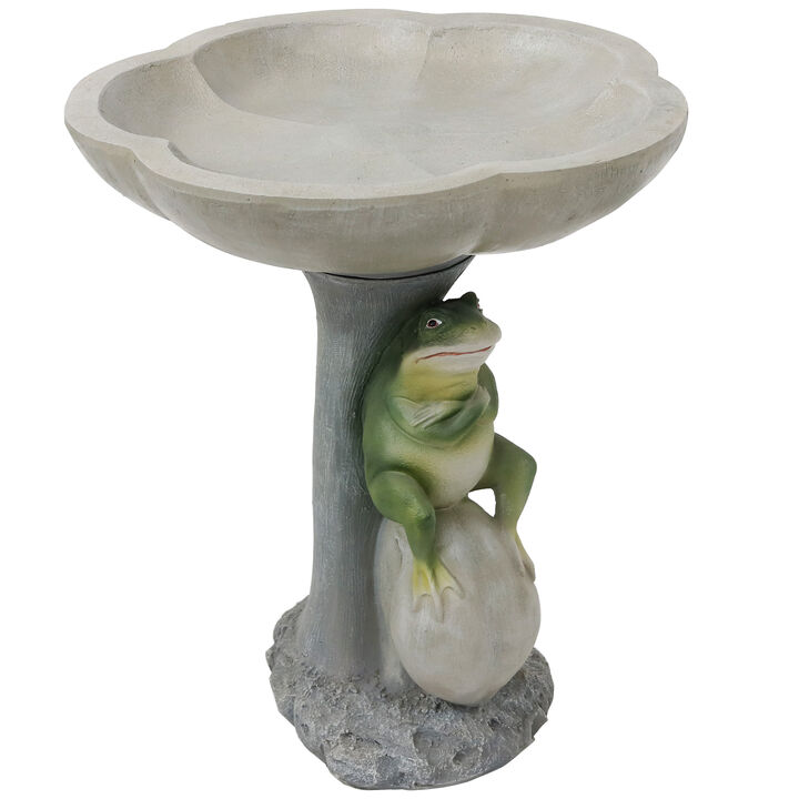 Sunnydaze Polyresin Brooding Frog on Stone Outdoor Garden Bird Bath - 22 in