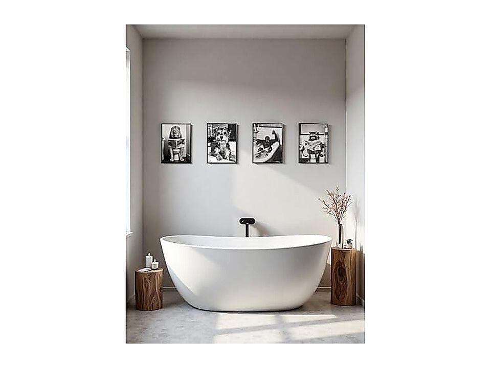 Funny Raccoon Bathroom Wall Art Framed Black White Animal Poster Decor Toilet