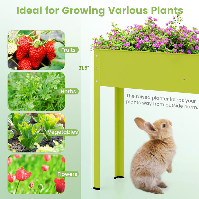 Metal Raised Garden Bed with Legs for Elevated Planting and Gardening