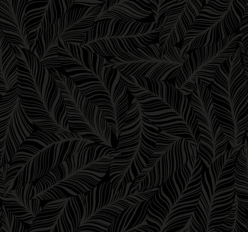 Rainforest Canopy Black Wallpaper image number 0