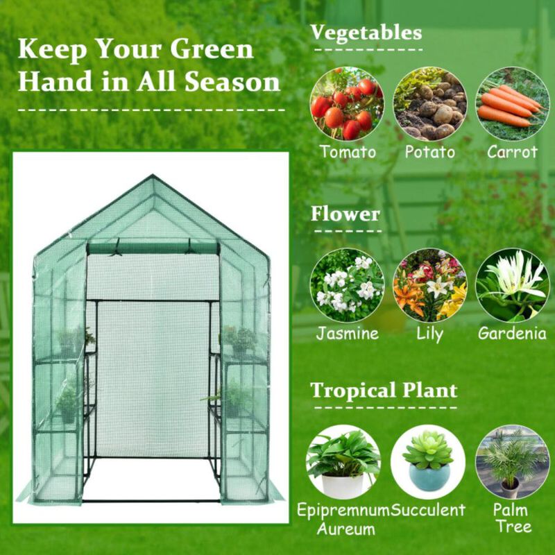 Hivvago Walk-in Greenhouse 56 x 56 x 77 Inch Gardening with Observation Windows