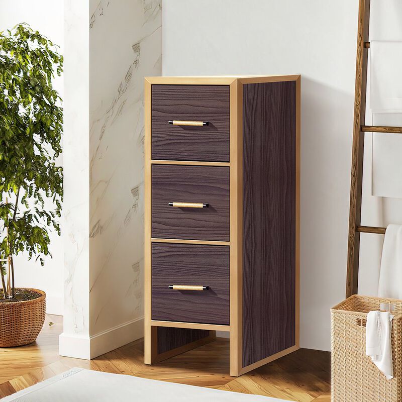 Vinnova Design Toledo 12in. Dark Walnut Storage Cabinet