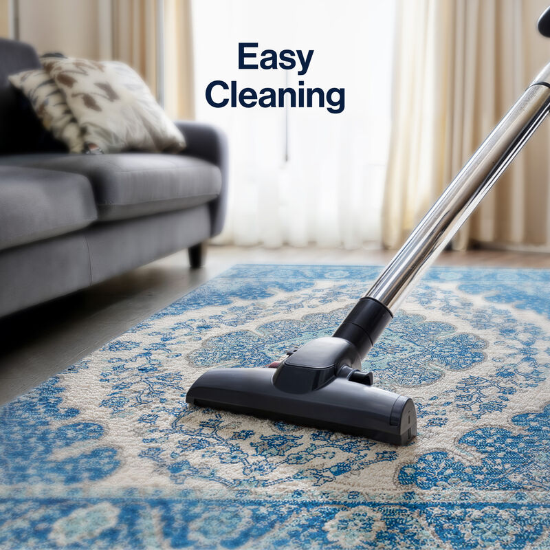 Bohemian Flair Boho Vintage Medallion Area Rug