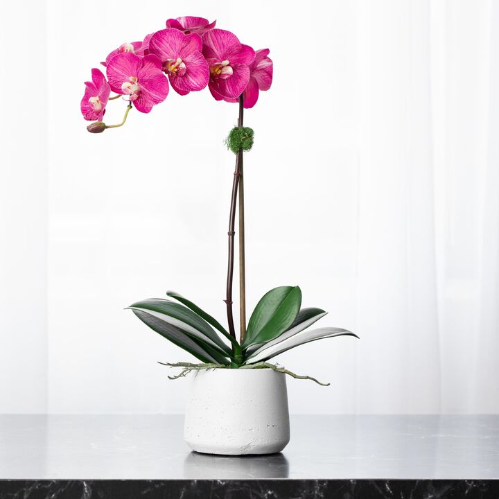 Artificial Orchid Plant - Pink Orchid In Black Pot - 21"