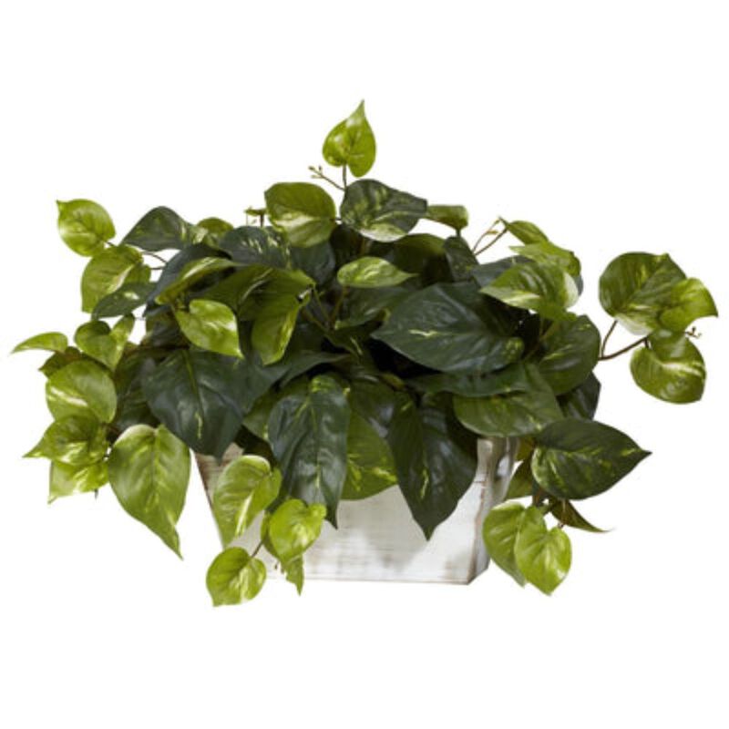 Hivvago Pothos w/White Wash Planter Silk Plant