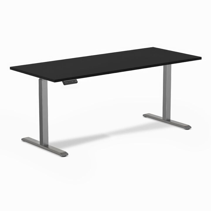 Desky Single Sit Stand Gaming Desk