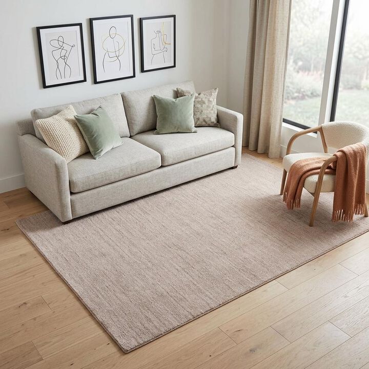 HomeRoots Hand Woven Area Rug