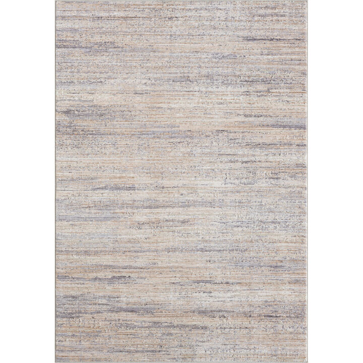 4 X 6 gray Abstract Area Rug
