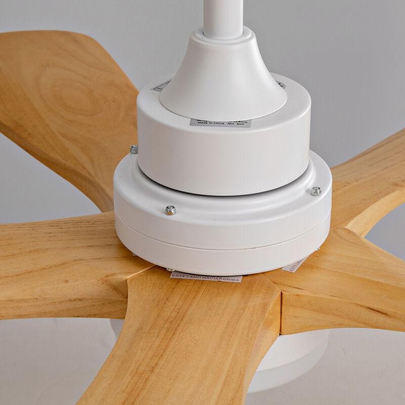 ELEMENT ACE Low Profile Bladeless Ceiling Fan with Integrated Light Kit and Remote Control for Modern Home Cooling image number 3