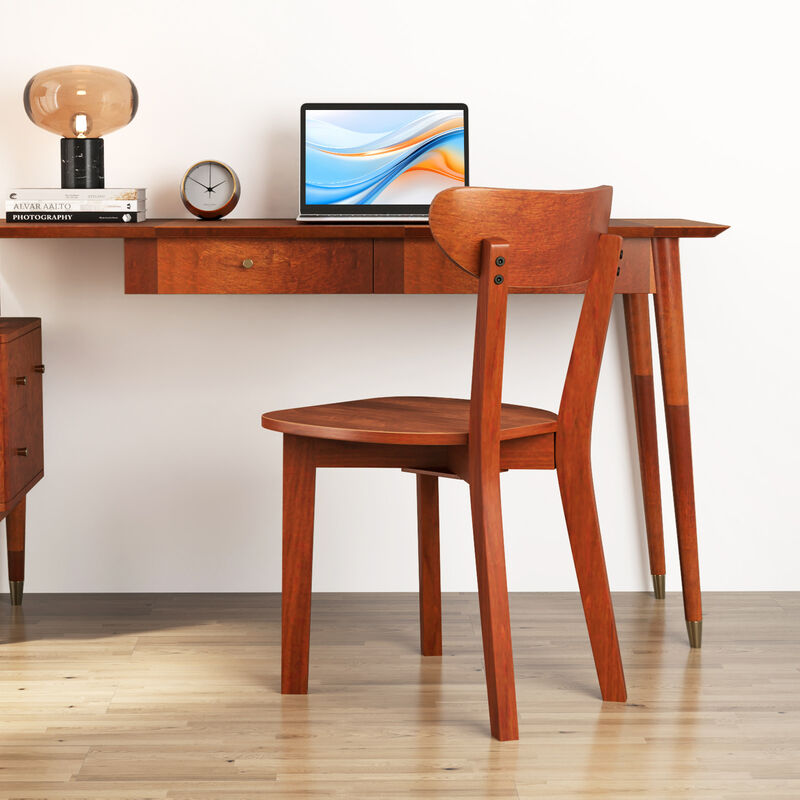 Dining Chair Set of 2 for Modern or Traditional Dining Room Decor