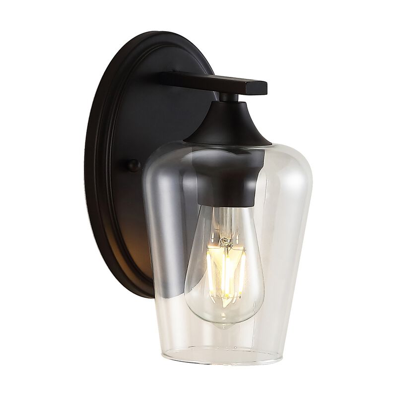 Jayne Iron/Glass Cottage Rustic LED Vanity Light