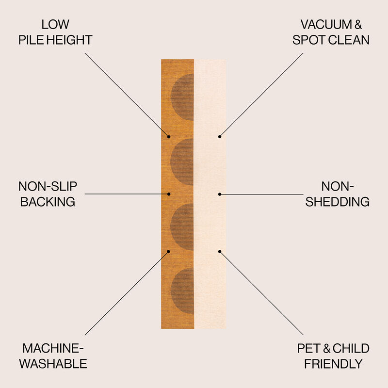 Demie Minimalist Graphic Circle Machine Washable Area Rug