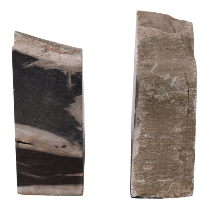 S/2 7" Petrified Wood Bookends image number 4