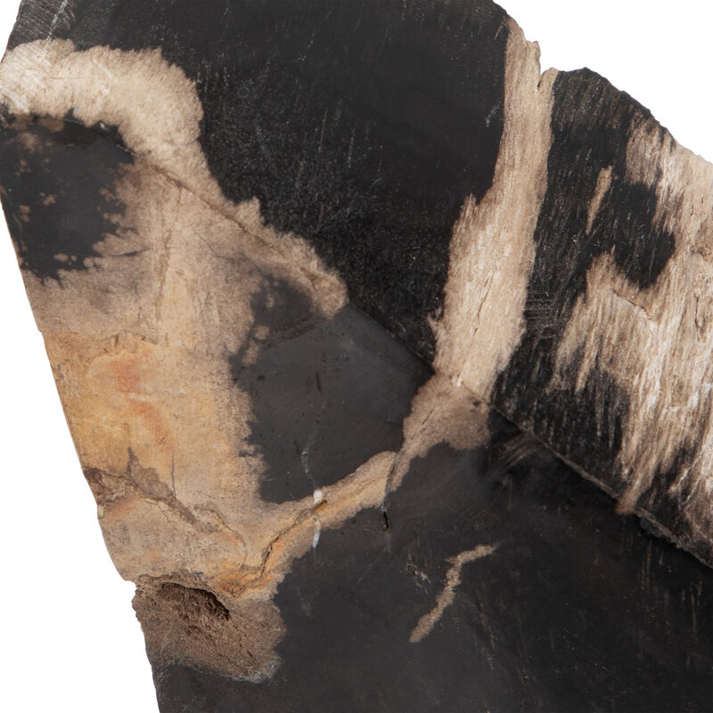S/2 6" Triangular Petrified Wood Bookends, Natural image number 5
