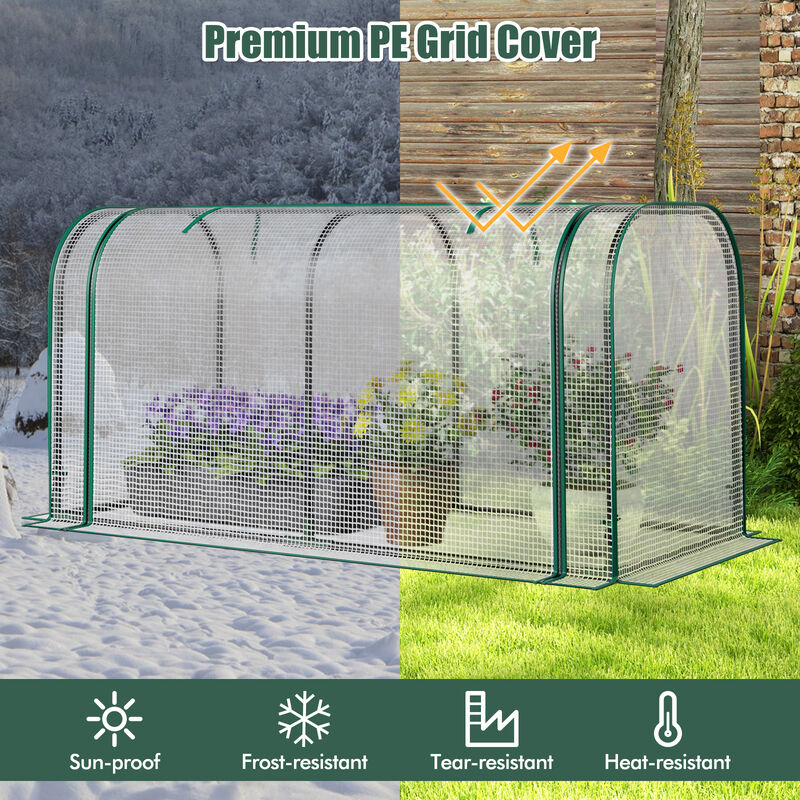 Mini Tunnel Greenhouse with Roll-Up Zipper Door for Easy Access and Protected Plant Growth