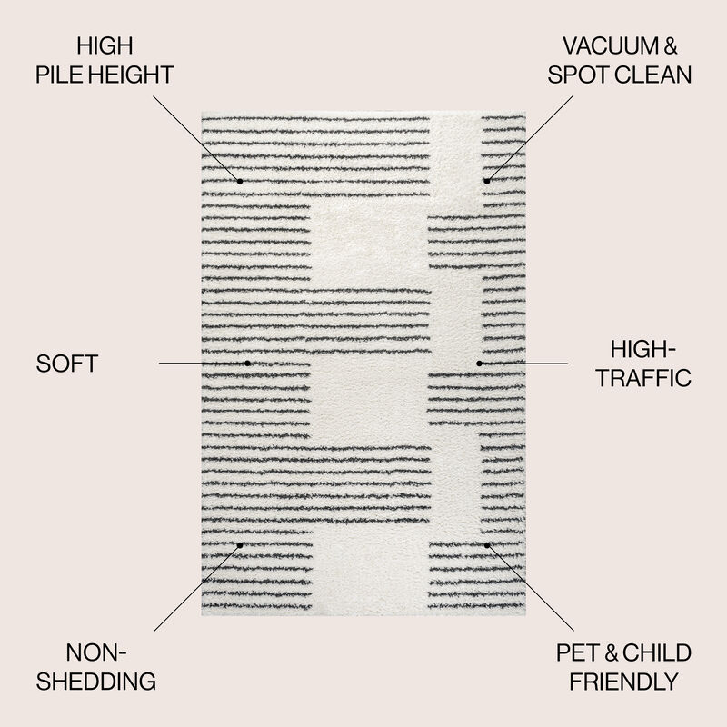 Petra Abstract Stripe Geometric Shag Area Rug