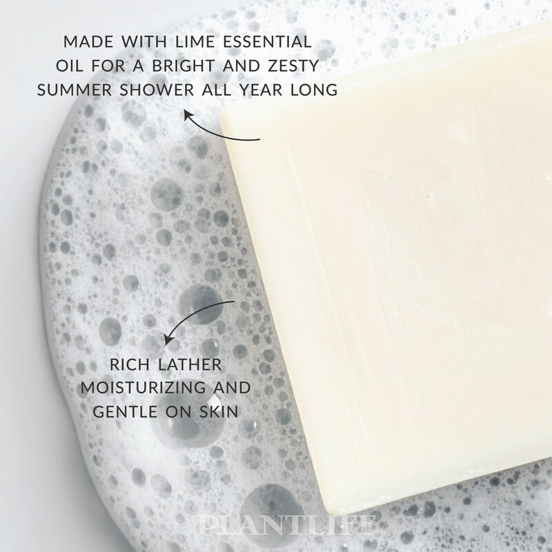 Plantlife Bar Soap - Coconut Lime 2 Pack image number 3