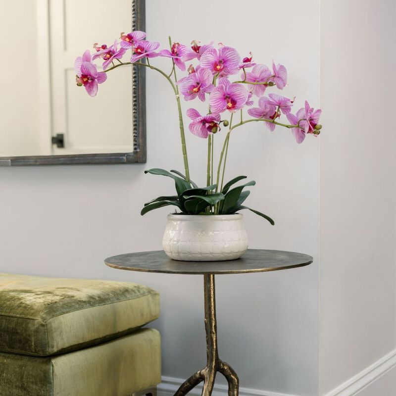 23" Phale Orchid image number 1