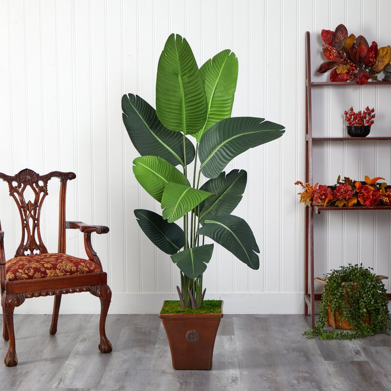 Hivvago 5.5 Feet Travelers Palm Artificial Tree in Brown Planter