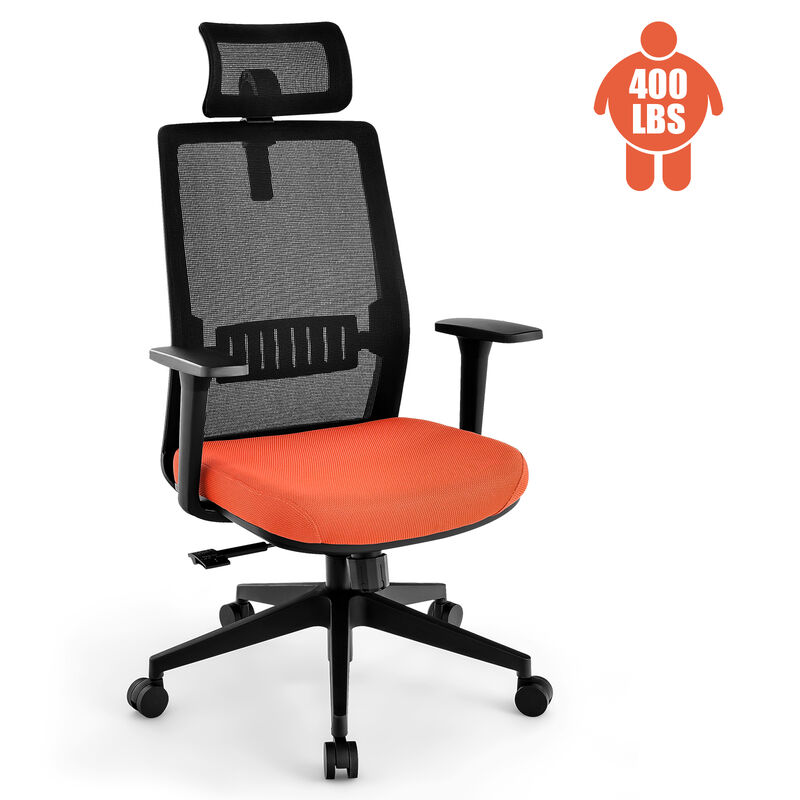 Ergonomic Office Chair with Lumbar Support and Adjustable Headrest-Black