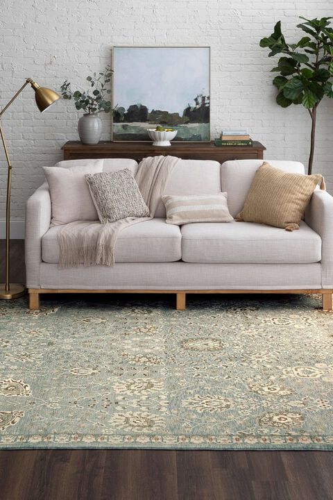 Divina Celestial Cream 5' x 7'10" Rug