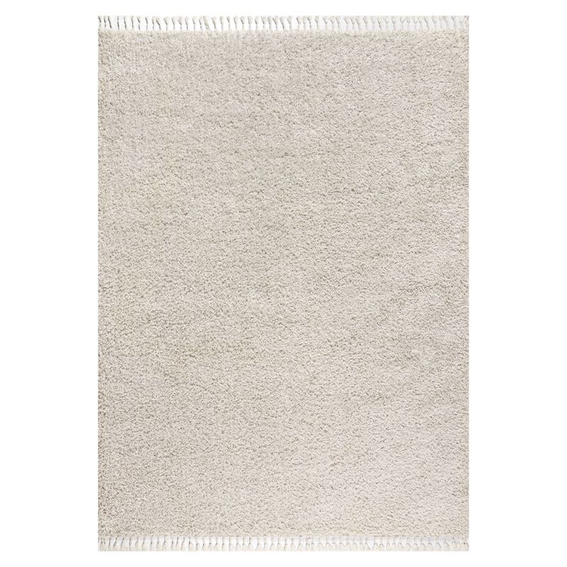 Mercer Shag Plush Tassel Area Rug