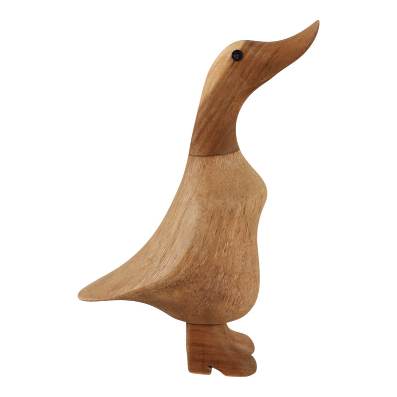 Natural Wood Duck image number 1
