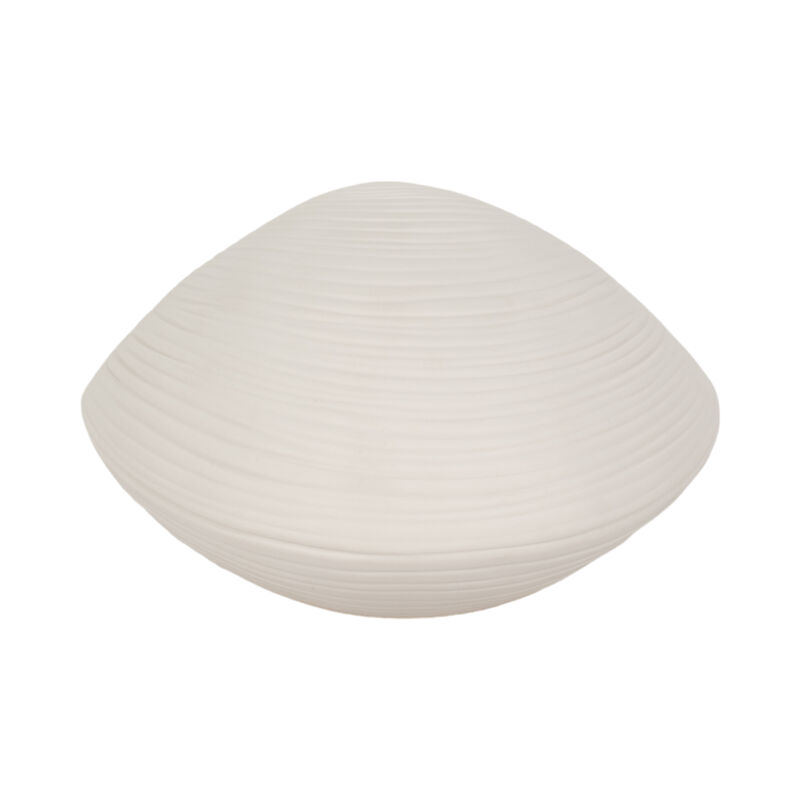 6" Seashell Decor, White image number 4