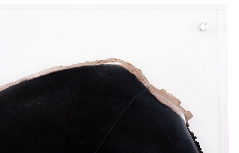 Floating Petrified Slices