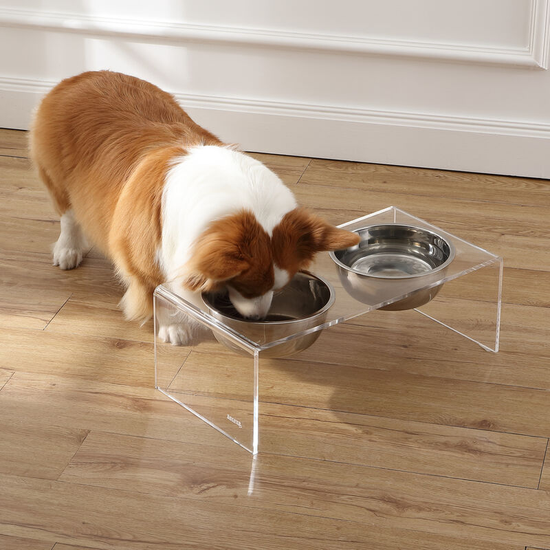Keaton Modern Acrylic Rectangular Elevated Pet Feeder with Stainless Steel Bowls