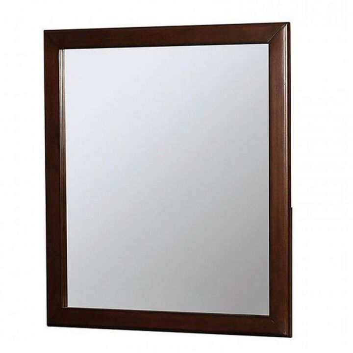 32 Inch Transitional Style Wooden Frame Mirror, Cherry-Benzara