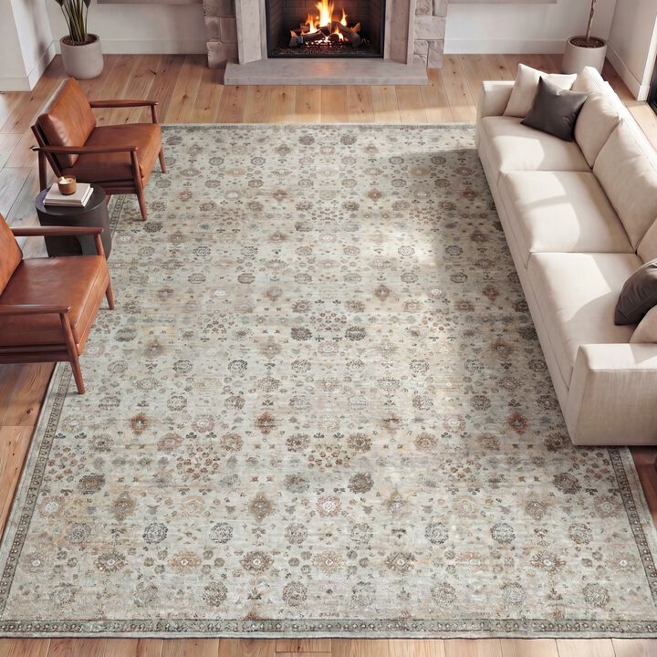 Petunia Distressed All-Over Floral Border Blue/Light Area Rug