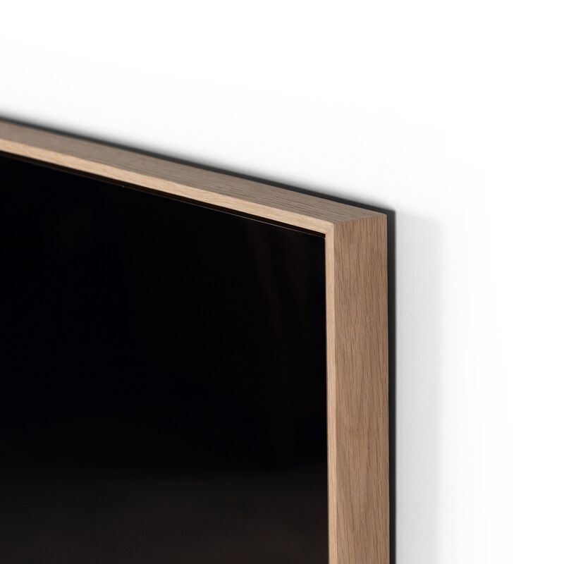 Red Tailed Black Cockatoo