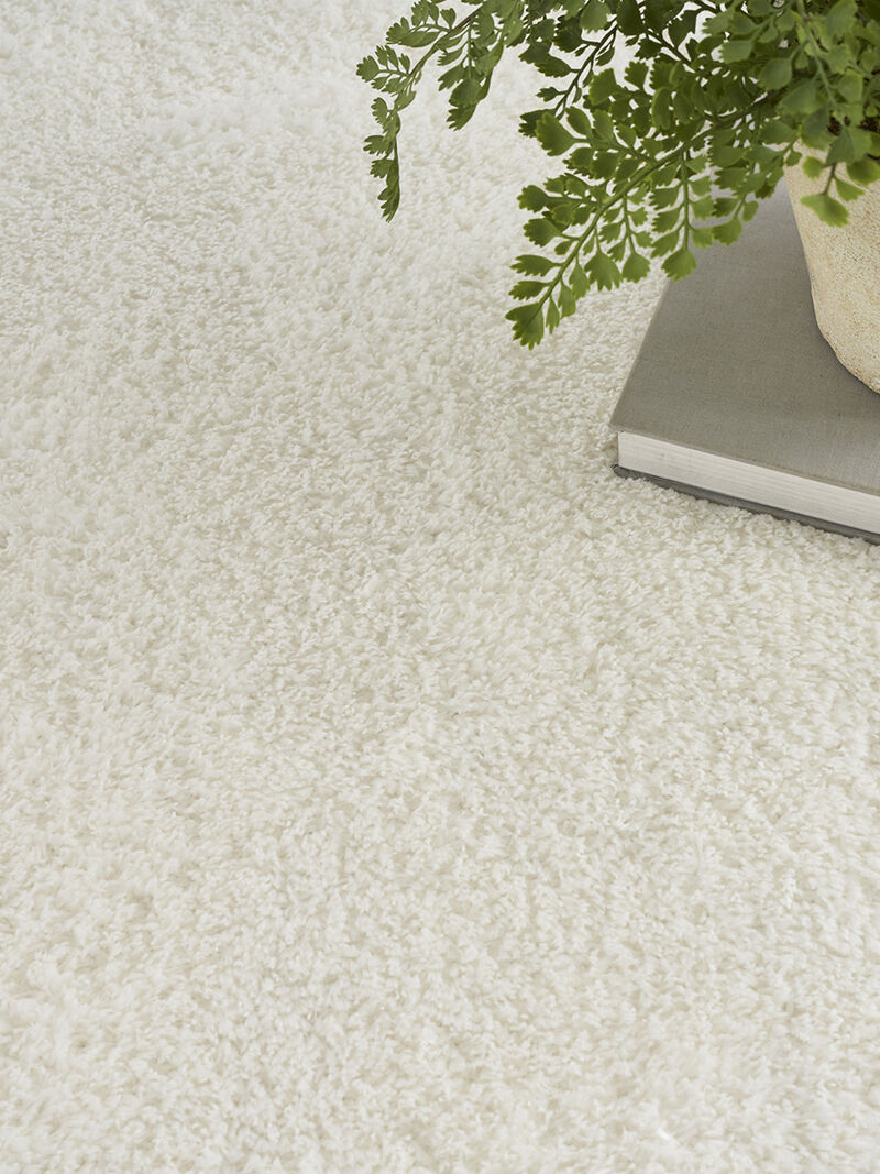 Pacific Shag PCS01 Collection