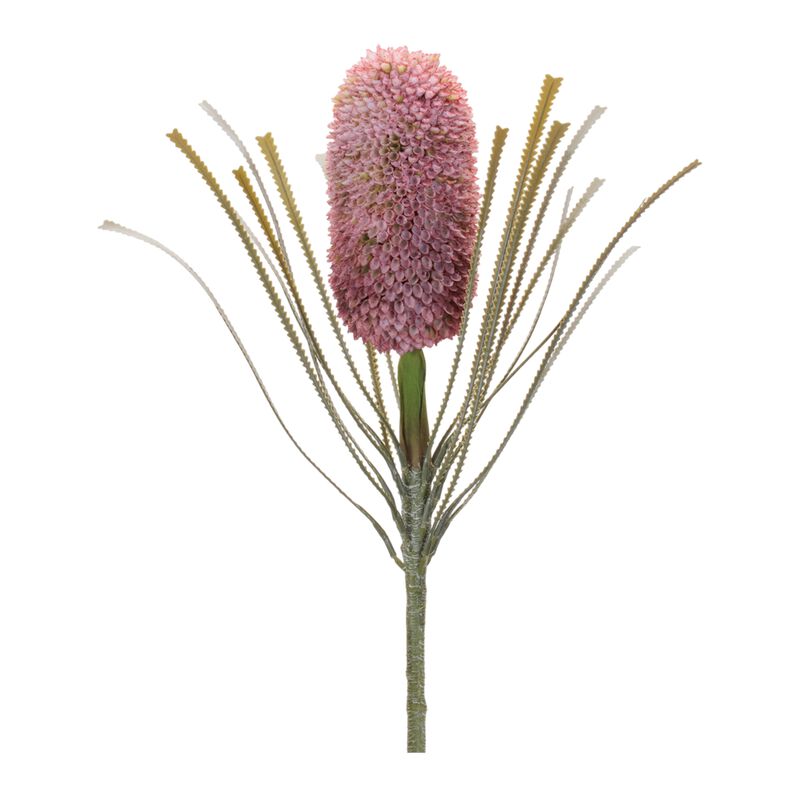 Set of 2 Protea Floral Stems for Vases, Bouquets, or Modern Floral Arrangements