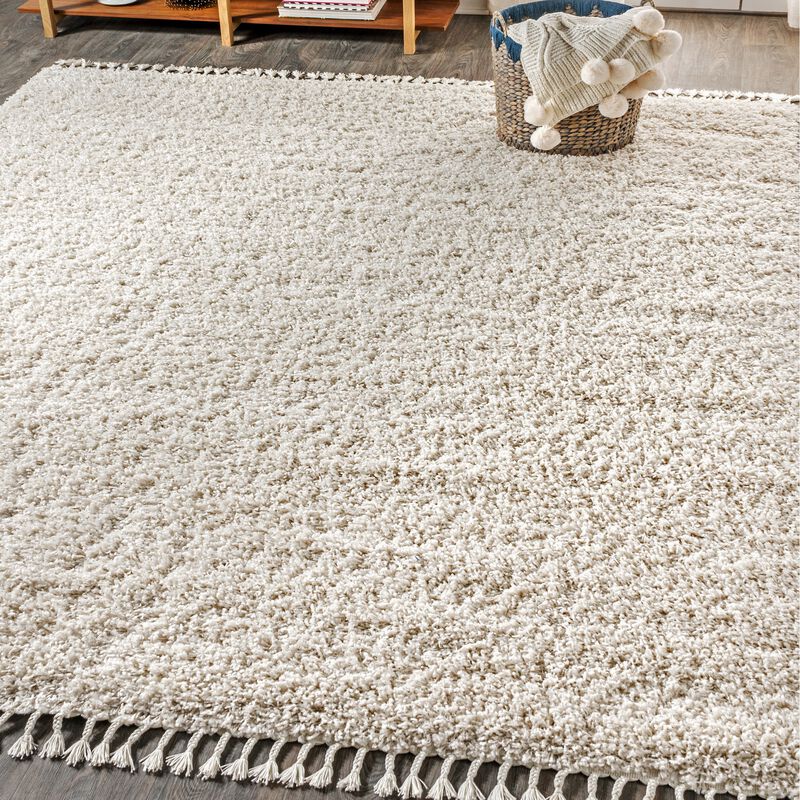 Mercer Shag Plush Tassel Area Rug