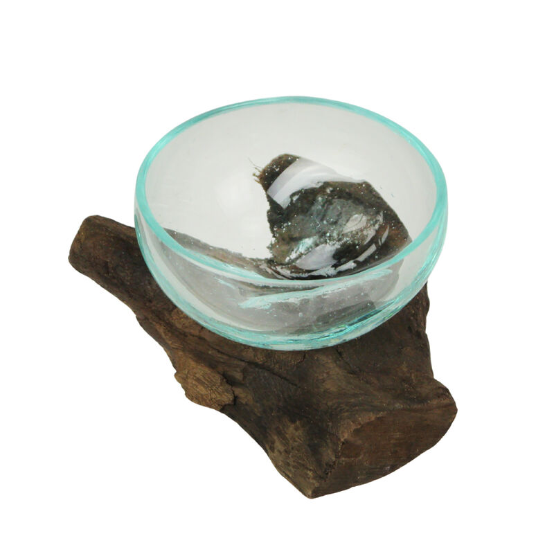Glass and Teak Driftwood Bowl &ndash; 3.25&rdquo; High Decorative Succulent Centerpiece image number 2