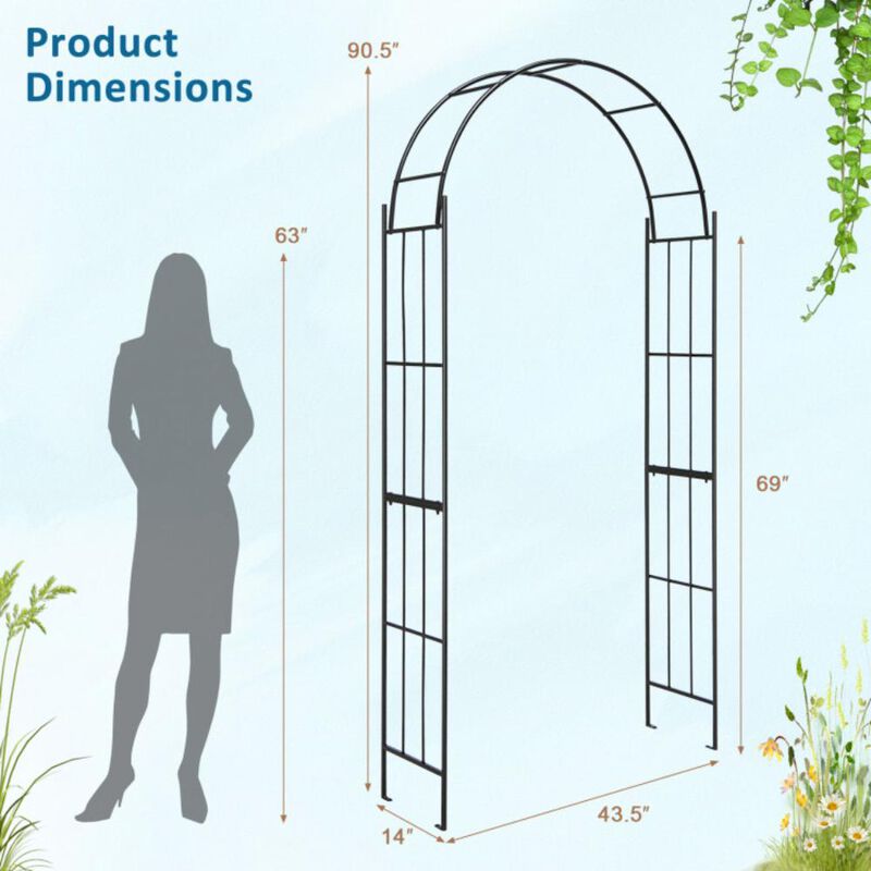 Hivvago Metal Garden Arch for Climbing Plants and Outdoor Garden Decor